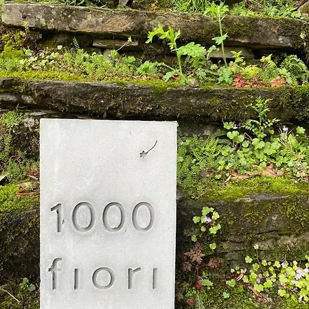 Casa 1000fiori 別荘