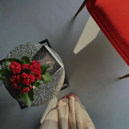 Дом отдыха Casa 1000fiori